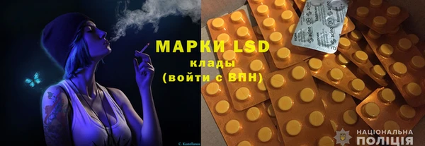 стаф Нея
