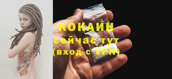 стаф Нея