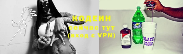 стаф Нея