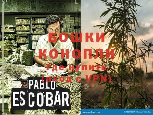 стаф Нея