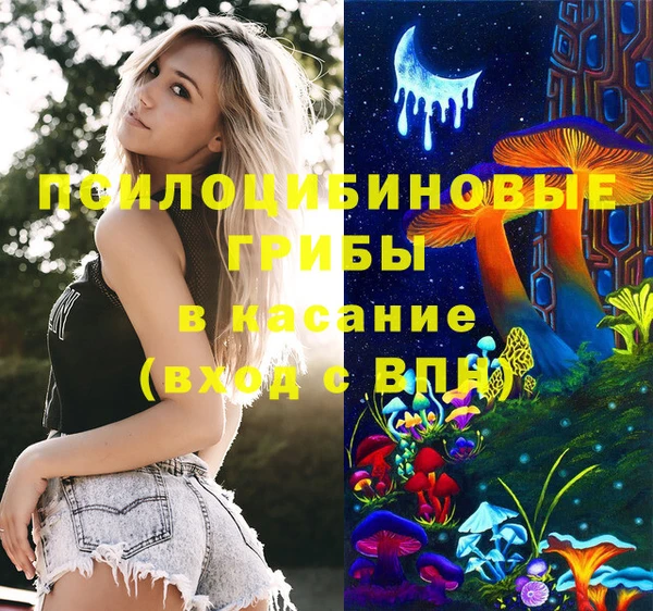 стаф Нея