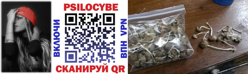 Псилоцибиновые грибы Magic Shrooms  закладки  Ачинск 