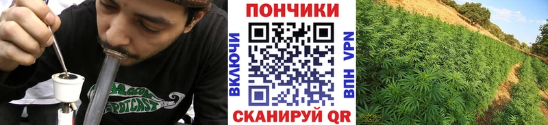 где можно купить наркотик  маркетплейс какой сайт  Бошки Шишки THC 21%  Ачинск 